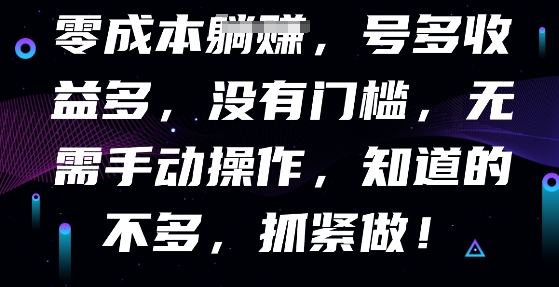 零成本全自动,号多收益多,没有门槛,无需手动-副业网