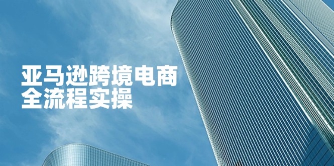 (14252期)亚马逊跨境电商全流程实操,教你从零开始,掌握店铺运营与广告技巧-副业网