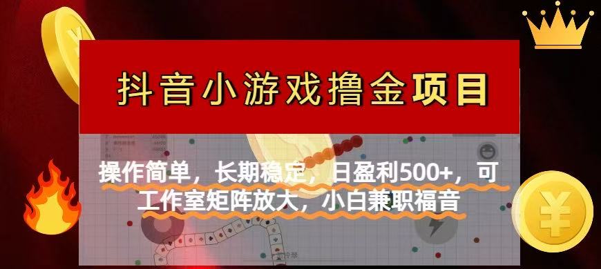 (14290期)【抖音小游戏发行人计划项目】操作简单,长期稳定,日盈利500+,可工作...-副业网