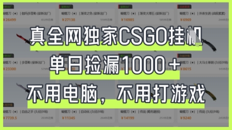 真全网独家CSGO挂G,单日捡漏1k+【揭秘】-副业网